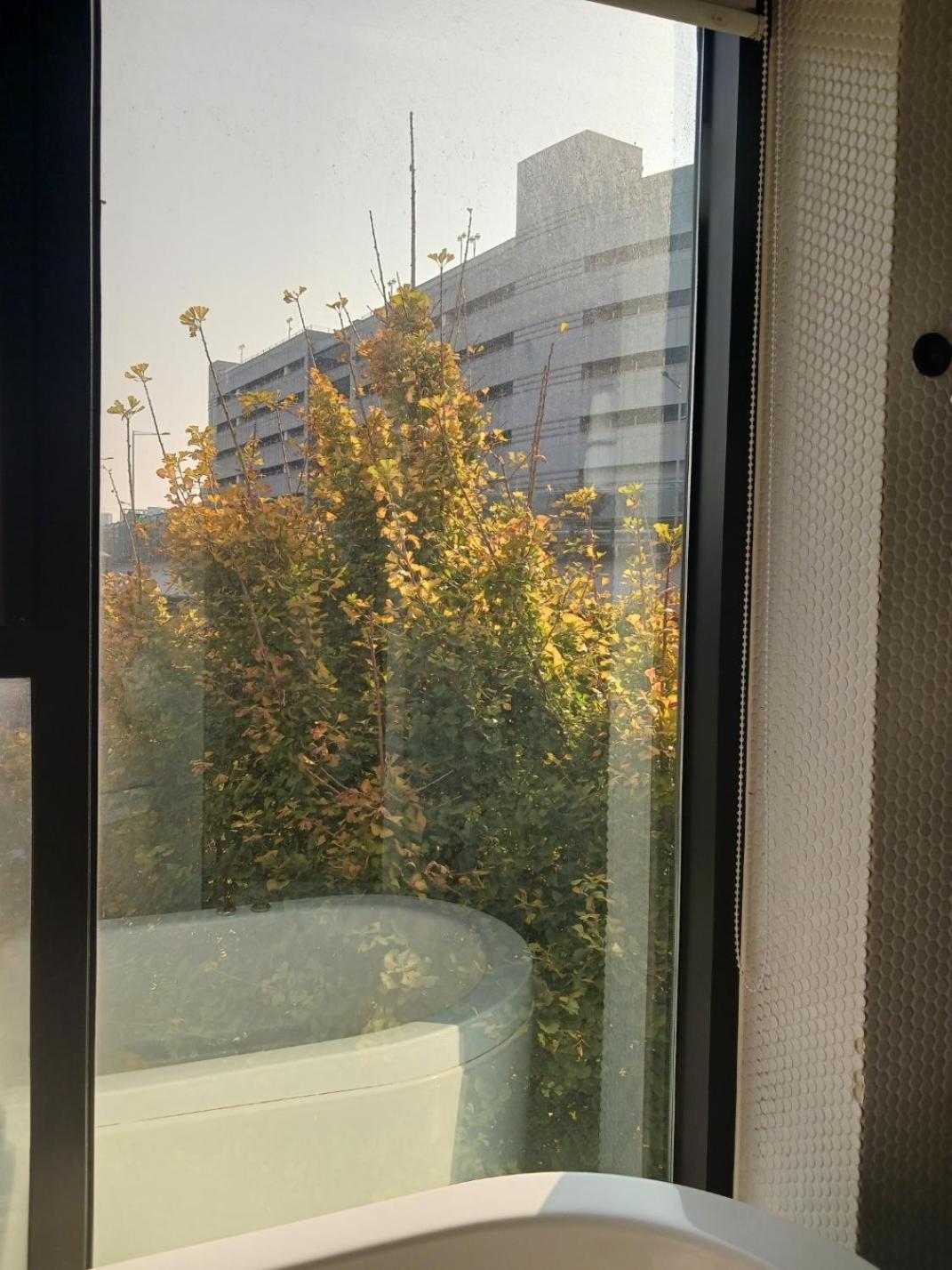 31Page Hotel Seoul Eksteriør billede